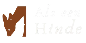 Reality - Real Estate Template